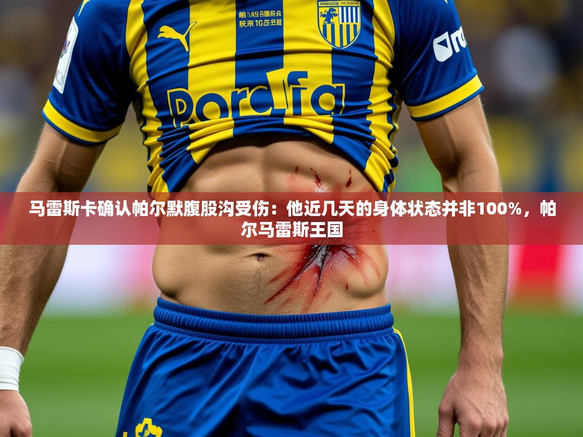 2025米兰体育网站优惠多马雷斯卡确认帕尔默腹股沟受伤:他近几天的身体状态并非100%,帕尔马雷斯王国 第3张